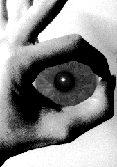 chapter-image