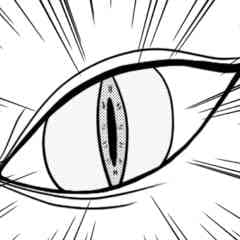 chapter-image